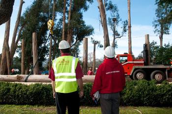 Business Planning for Tree Care Companies