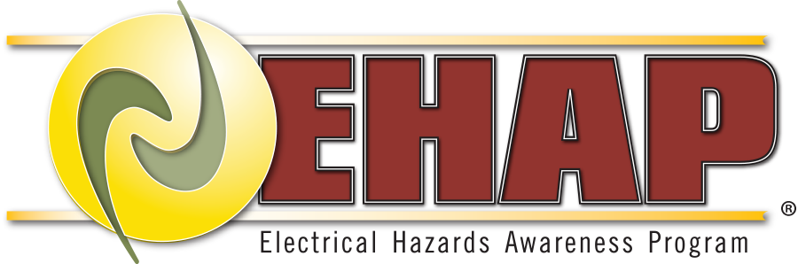 Electrical Hazards Awareness Program logo