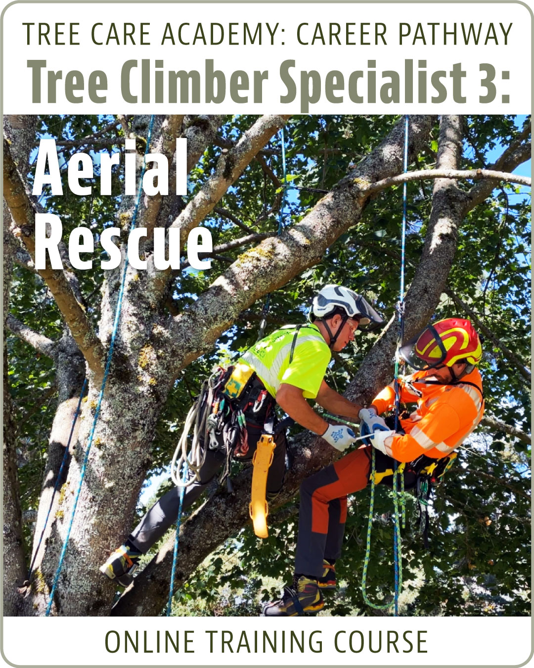 Tree Climber Specialist 3: Climbing Aerial Rescue