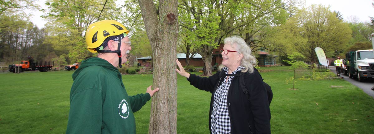 professional arborist speaks with a consumer about proper tree care