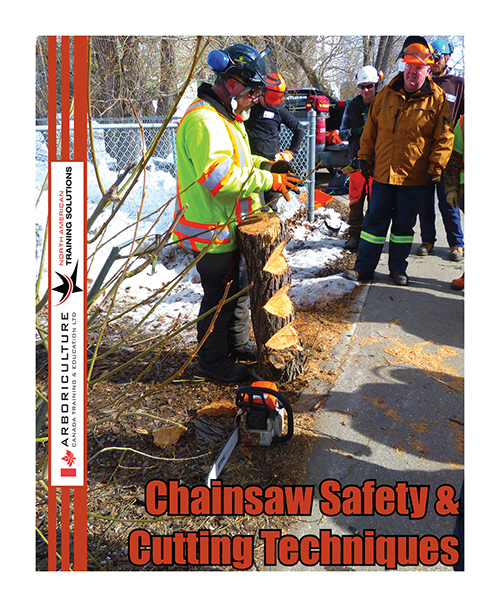 Chainsaw Safety & Cutting Techniques